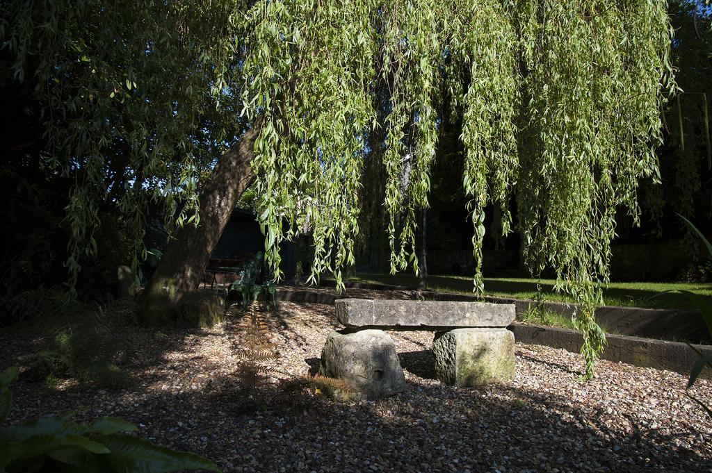 Foxhills Of Shanklin Extérieur photo
